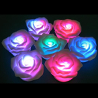 rose led multicolore SG060