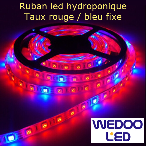 ruban led hydroponique taux fixe BTFHYDALTIP20