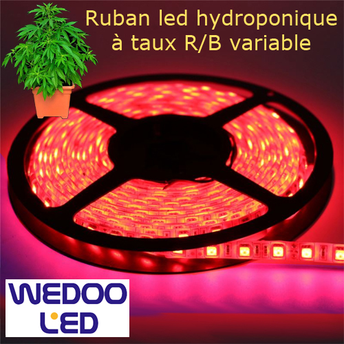 ruban led hydroponique taux variable BTFHYDVARIP20