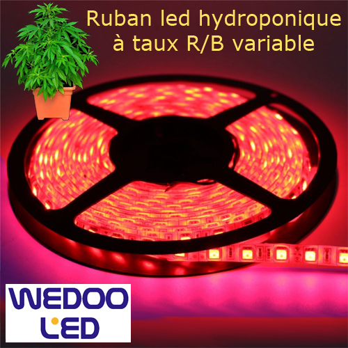 ruban led hydroponique taux variable BTFHYDVARIP68