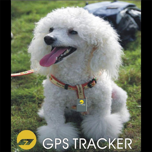 traceur GPS animaux