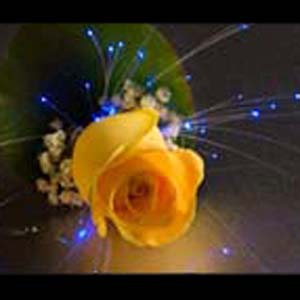 tresse lumineuse leds deco pic4