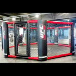 Jeux Plein air - Rings de combat