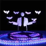 Bandes de led - Rubans led lumière noire